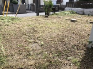 千葉県・千葉市稲毛区・個人宅・草刈り・伐採・剪定（作業後）