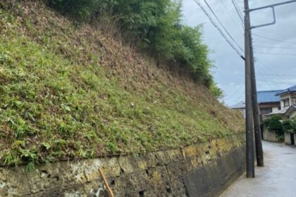 千葉県・千葉市中央区・個人宅・草刈り・伐採・剪定・高所作業車（作業後）