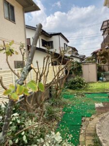 千葉県・我孫子市・個人宅・草刈り・伐採・剪定（作業後）