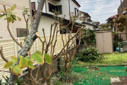 千葉県・我孫子市・個人宅・草刈り・伐採・剪定（作業後）
