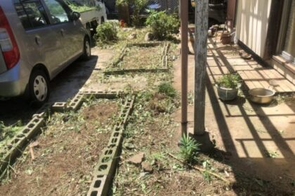 伐採・草刈り・千葉県・習志野市・個人宅・草刈り・伐採・剪定（作業後）