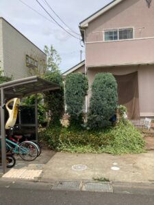 茨城県・つくば市・アパート・草刈り・伐採・剪定（作業後）