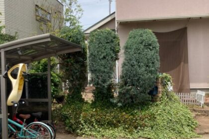 茨城県・つくば市・アパート・草刈り・伐採・剪定（作業後）