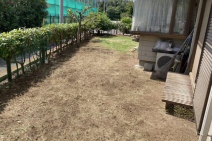 千葉県・千葉市美浜区・個人宅・草刈り・伐採・剪定（作業後）