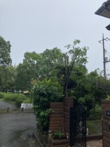 千葉県・千葉市若葉区・個人・草刈り・伐採・剪定（作業後）